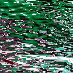 Leons Vinyl Set - no.03