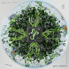 95OT003: Gavu - Depths