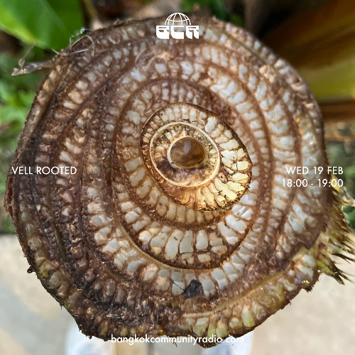 Vell Rooted - 19th February 2025