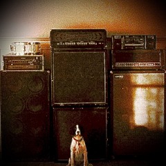 Ghost(whirr)(acoustic)-headsoused cover