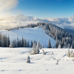 Ashot Danielyan - The Picture