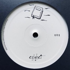 Humans Emerge From Unknown LP | EVIGHET001