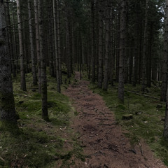 Pathways