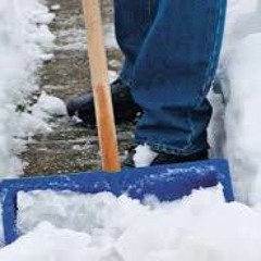 Frinno - Schneeschiebermukke