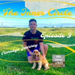 Episode 3 - Harveys Journey ✨❤️‍🩹
