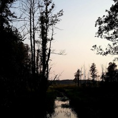 River (demo)