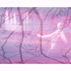 HARV - Ihavecrushonthewaves