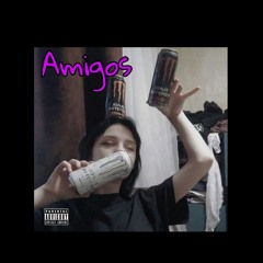 IAN 404 - Amigos