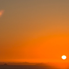 MOGA_OFFMYTERRACE