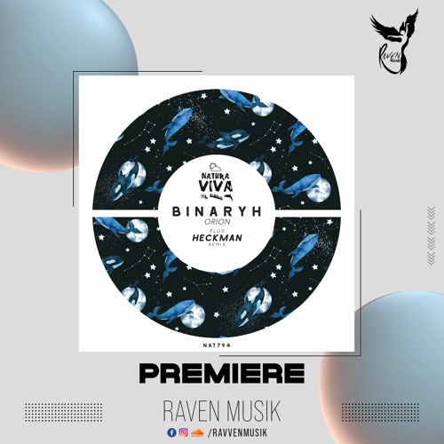 Stream PREMIERE: Binaryh - Denebola (Original Mix) [Natura Viva] by Raven  Musik | Listen online for free on SoundCloud