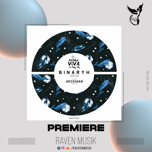 PREMIERE: Binaryh - Denebola (Original Mix) [Natura Viva]