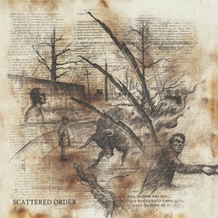 Scattered Order - Artefacts from the fuzz mines