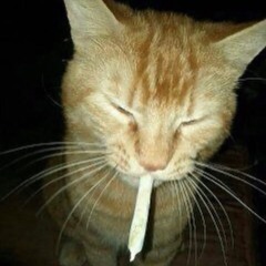 Gas | Prod. [gnaash + gateway]