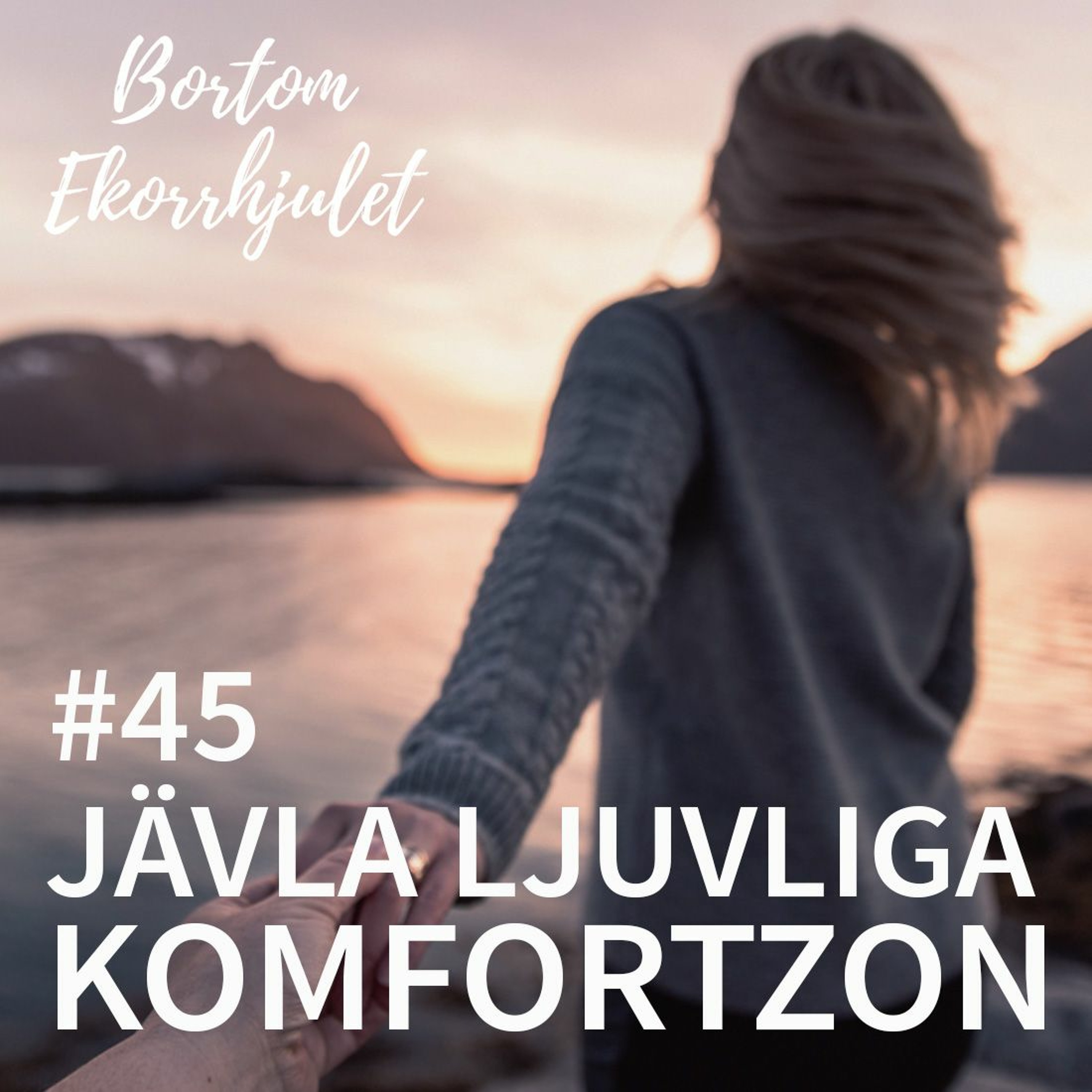 Bortom ekorrhjulet