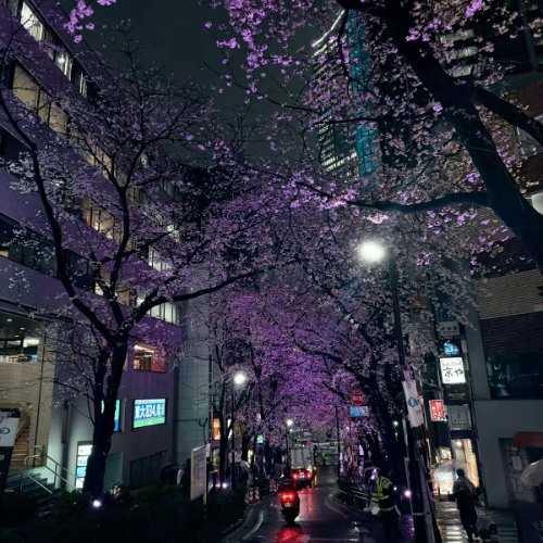 Kyddiekafka - For No One (Skeler Remix)