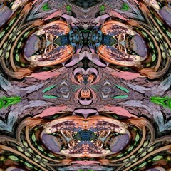 WILD HORSES FESTIVAL 2025