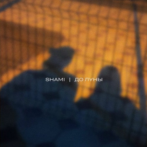 shami где то летали