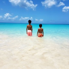 BEACH HOUSE BY ALBIN VOL.6