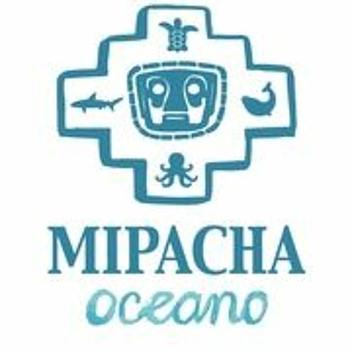 Companies innovate by creating products from ocean plastics.