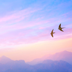 Invocation for Healing & Empowerment