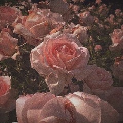 Belanova - Rosa Pastel (Twist Remix)