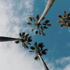 Sunset Drive x Thinking About You (Westend Edit / Stevo Remake)