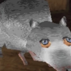 rats,rats were the rats