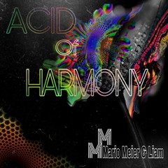 Mario Meier & Liam_de Acid Of Harmonie