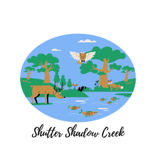 Save Shutter Shadow Creek