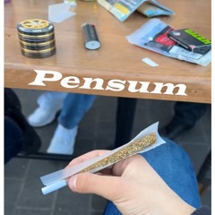 Pensum (feat. Hoodlieferant)