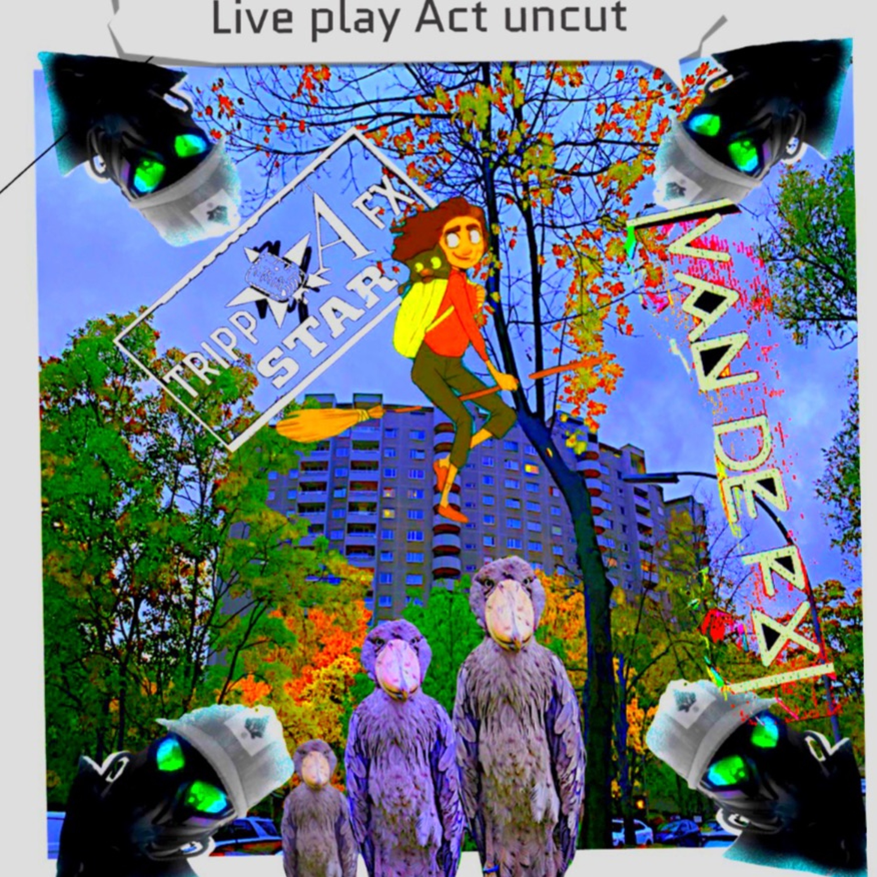Live Uncut Played - Van De FX - Haengebach Feiin Huepf Schwein.WAV episode artwork