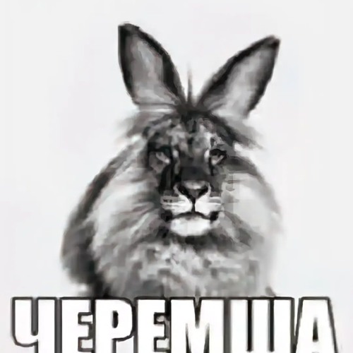 тёмный принц - solanaflipper