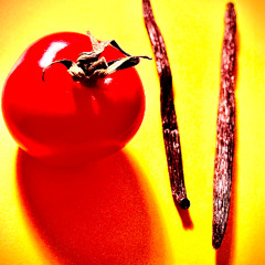 vanilla house rmx shortcut