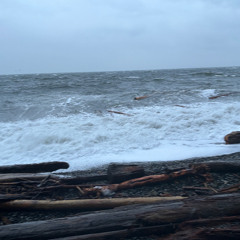 fk🆖🆙 prod. gabzibeats