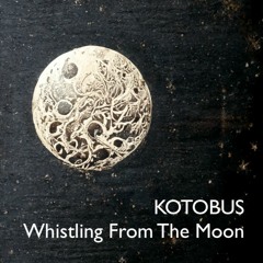 Whistling From The Moon