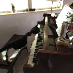 Wild Flowers 008.mp3