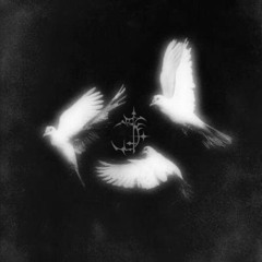 Sanctify//Sever