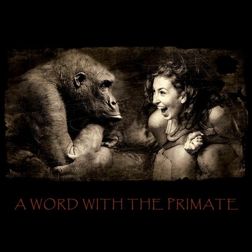A Word With The Primate