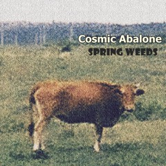 전복들 Cosmic Abalone - 봄나물 Spring Weed (2019 demo)