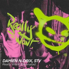 Damien N-Drix & STV - Really Want (Wannabe) (Original Mix)