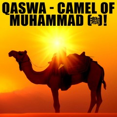 MOST BEAUTIFUL STORY OF MUHAMMAD (ﷺ)!
