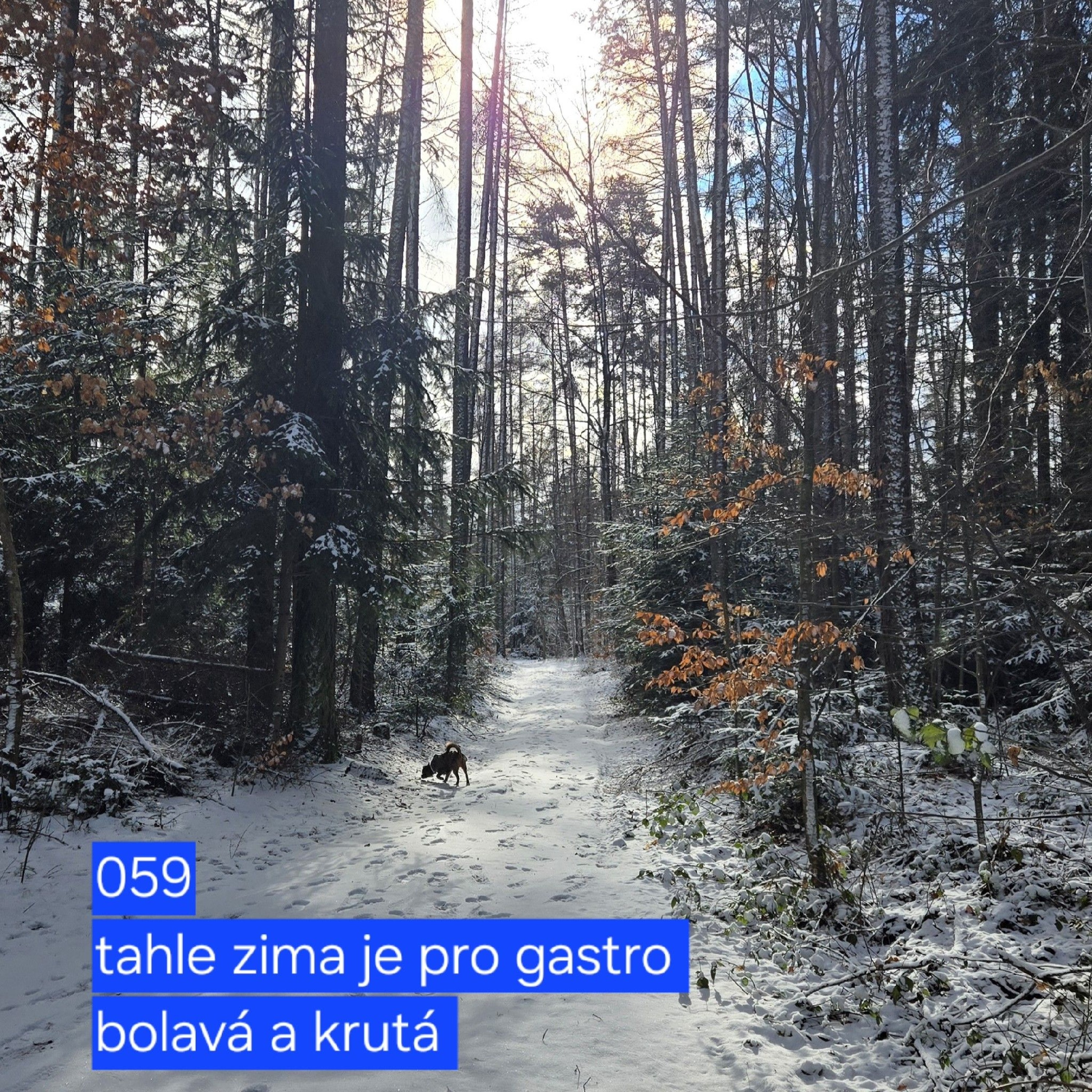 059 tahle zima je pro gastro bolavá a krutá