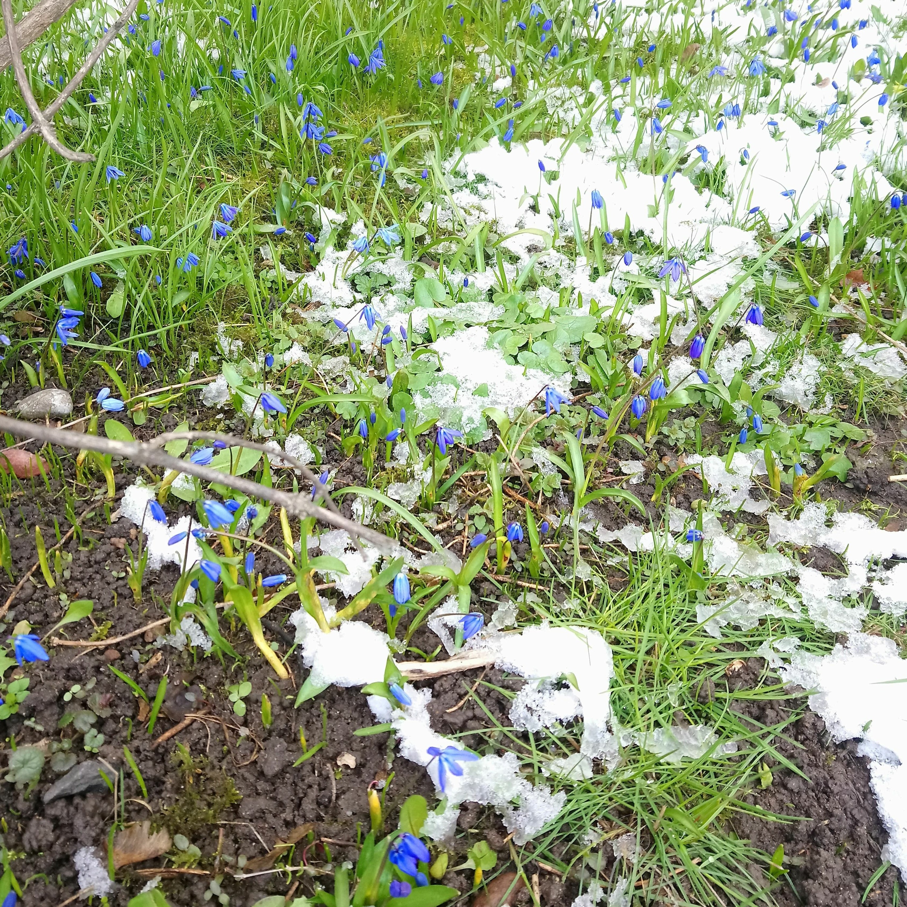LW #73: An Unusual Spring in Latvia and News From March 18th - 26th, 2020 episode artwork