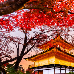 金閣寺 -kinkakuji-