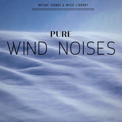 Pure Wind Noises