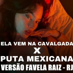 PUTA RARA PUTA MEXICANA - VERSAO RAIZ FAVELA RJ (DJ WM DA PENHA & DJ NANDINHO)
