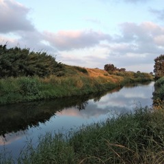 КУПОЛА исп. Алекс Шанс слова и музыка Марк Тритуз