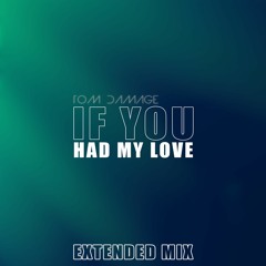 If You Had My Love (Extended Mix)