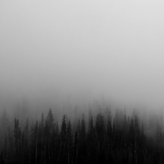 FOG