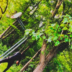 “kiddbased & friends”